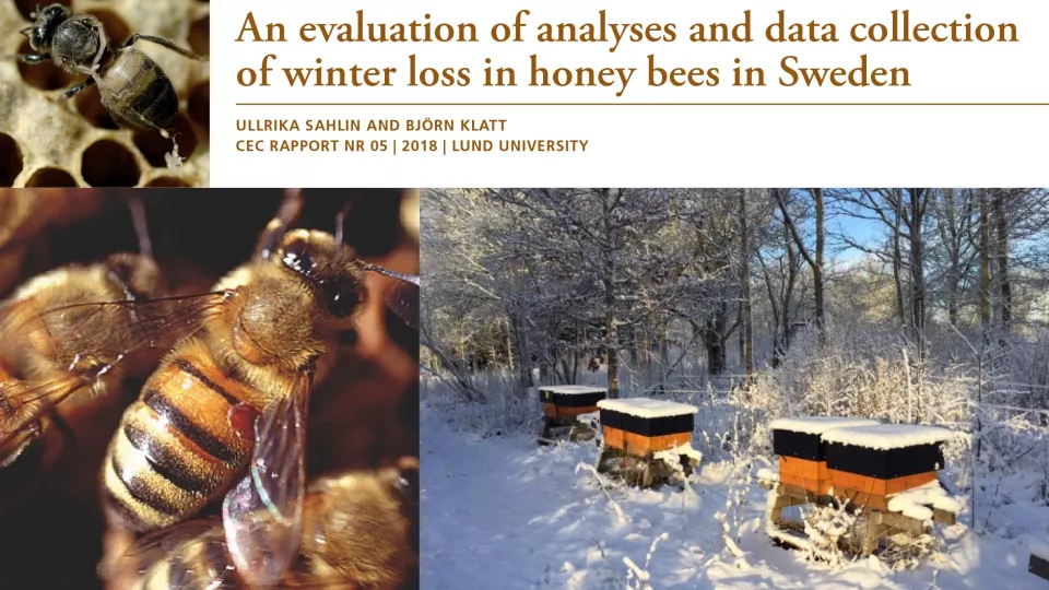 Front page of report. Photo collage of bees, hives and nature in summer and winter.