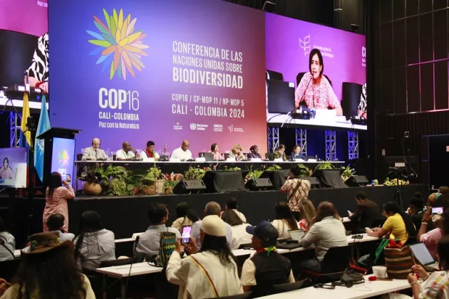 A picture from the plenum negotiations at COP16