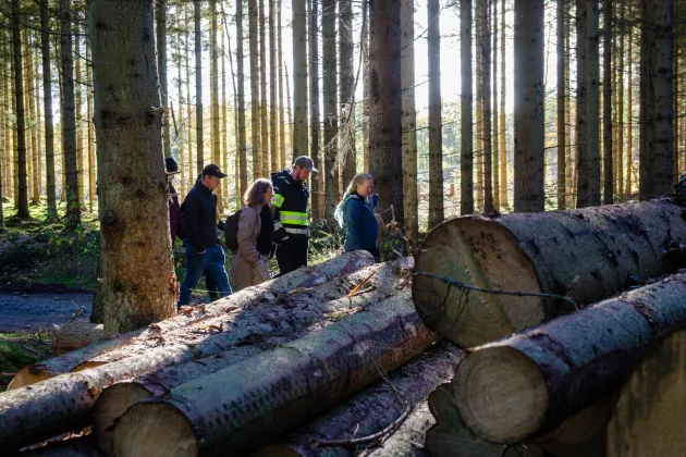 Group of people in forest, photo.