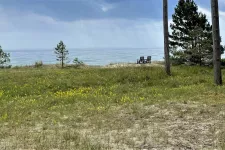 Image of a beach with dune grass and trees on a gray day