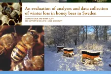 Front page of report. Photo collage of bees, hives and nature in summer and winter.