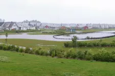 A pond close to residential houses. Photo.