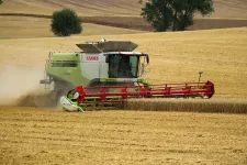 Combine harvester in a field. Photo.