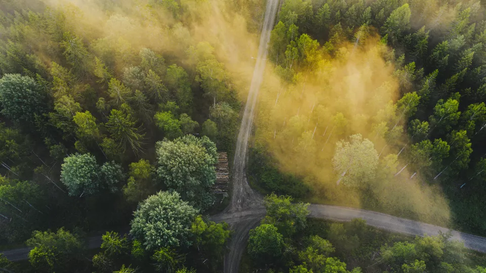 Flygbild över skog, med vägar och virkeslager. Foto.