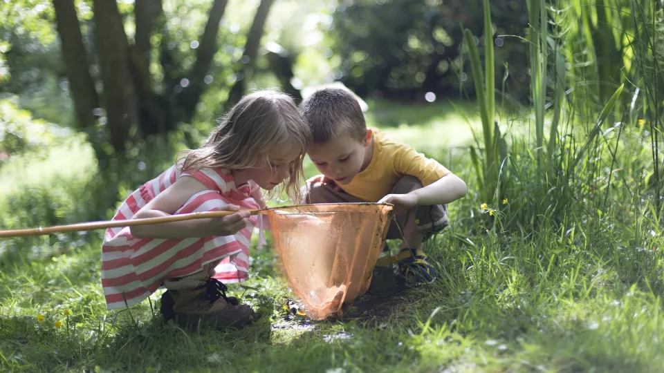 Två barn tittar på vad de fiskat upp ur en damm. Foto.